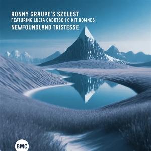 CD Shop - RONNY GRAUPE\