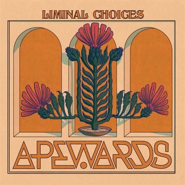 CD Shop - APEWARDS LIMINAL CHOICES