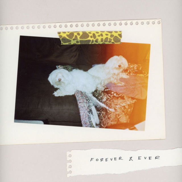 CD Shop - SALES FOREVER & EVER