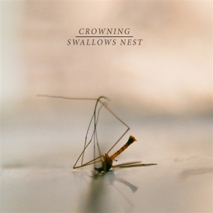 CD Shop - CROWNING SPLIT