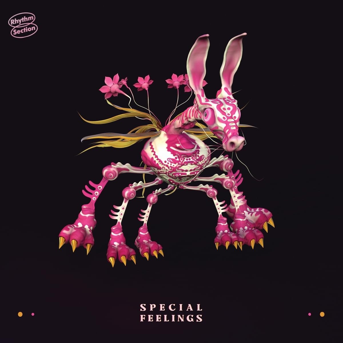 CD Shop - SPECIAL FEELINGS SPECIAL FEELINGS