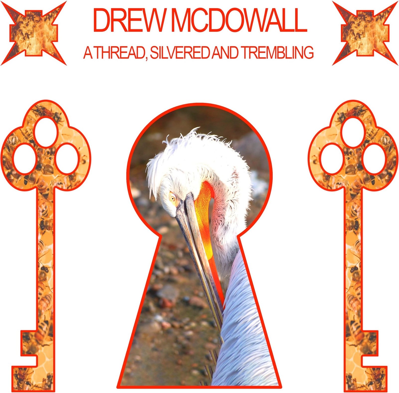 CD Shop - DREW MCDOWALL A THREAD, SILVERED AND...
