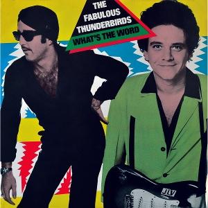 CD Shop - THE FABULOUS THUNDERBIRDS WHAT\