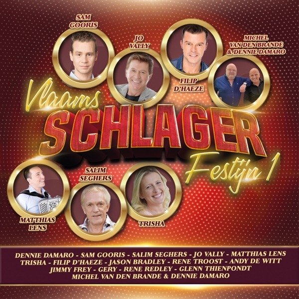 CD Shop - VARIOUS ARTISTS VLAAMS SCHLAGERFESTIJN...