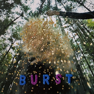 CD Shop - SNARLS BURST