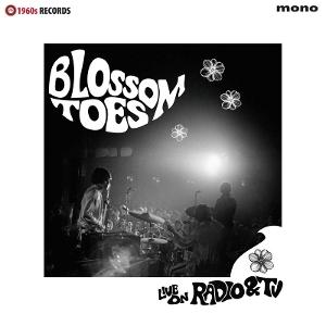 CD Shop - BLOSSOM TOES LIVE ON RADIO & TV