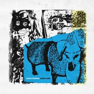 CD Shop - STAR STUNTED SANTA DOG