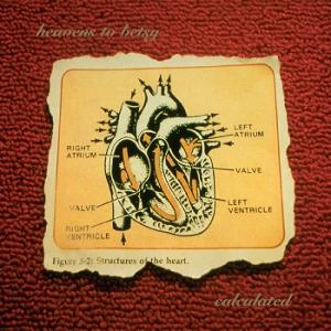 CD Shop - HEAVENS TO BETSY CALCULATED