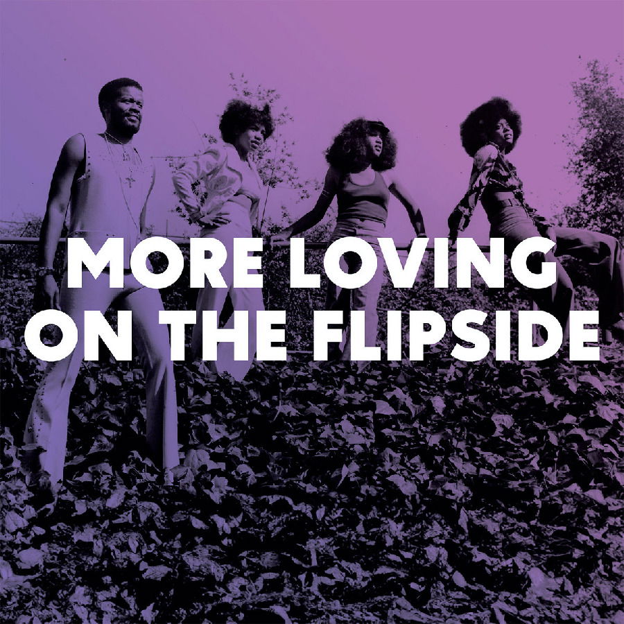 CD Shop - VARIOUS ARTISTS MORE LOVING ON THE FLI...