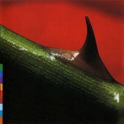 CD Shop - NUSRAT FATEH ALI KHAN,MICHAEL BROOK NIGHT SONG