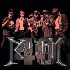 CD Shop - RANDOM RANDOM 40 HEAVYROLL