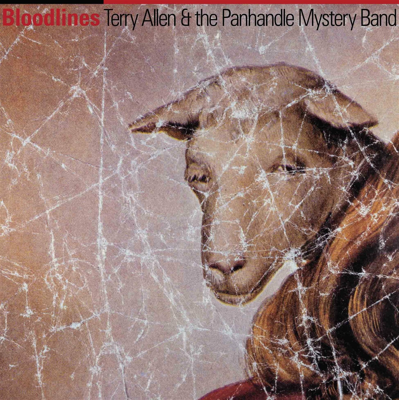 CD Shop - TERRY & THE PANHANDLE MYSTERY BAND ALLEN BLOODLINES