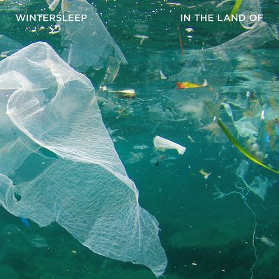 CD Shop - WINTERSLEEP IN THE LAND OF