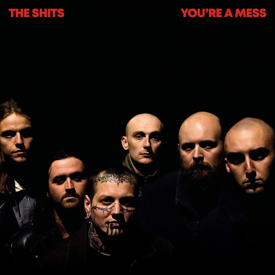 CD Shop - SHITS YOU\