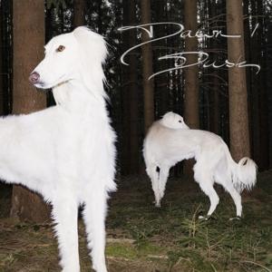 CD Shop - SAM DE NEF DAWN/DUSK