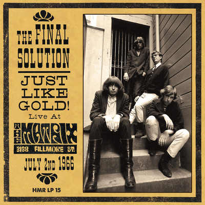 CD Shop - FINAL SOLUTION JUST LIKE GOLD: LIVE A...