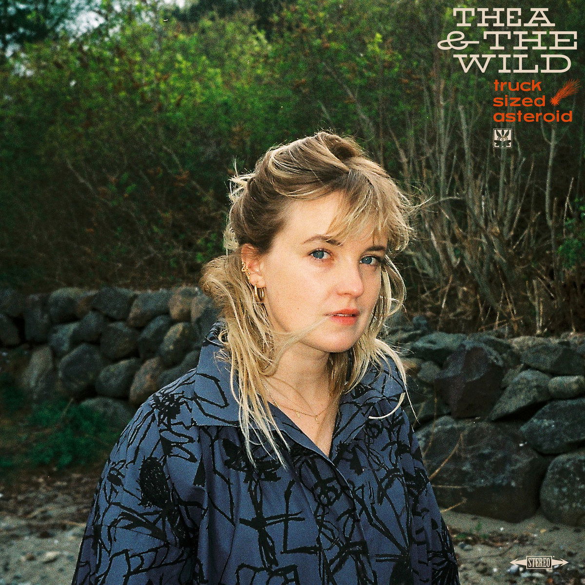CD Shop - THEA & THE WILD TRUCK SIZED ASTEROID