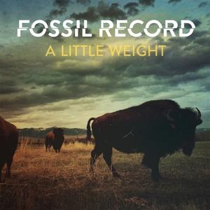 CD Shop - FOSSIL EVOLUTION A LITTLE WEIGHT