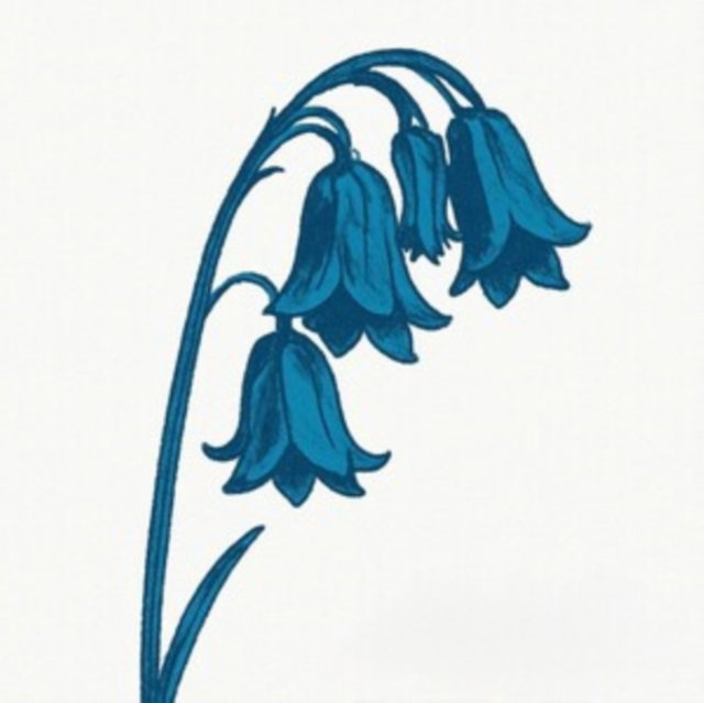 CD Shop - BLUEBELLS THIS IS THE BLUEBELLS