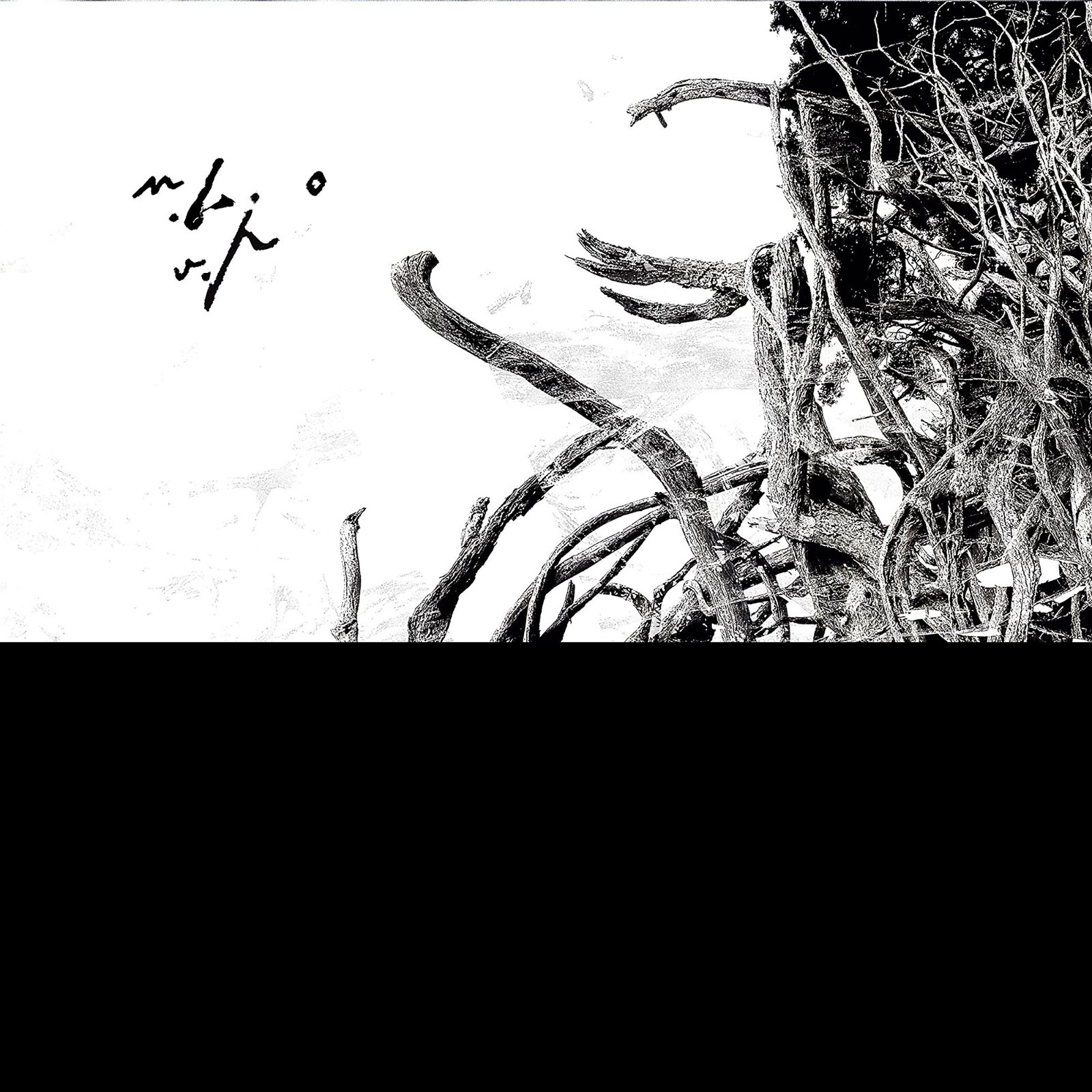 CD Shop - NEGURA BUNGET VIRSTELE PAMINTULUI