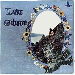 CD Shop - LUKE GIBSON ANOTHER PERFECT DAY