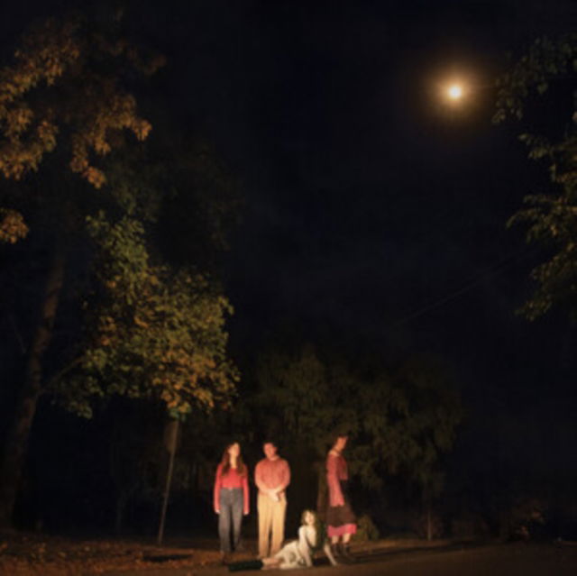 CD Shop - THE OPHELIAS SPRING GROVE