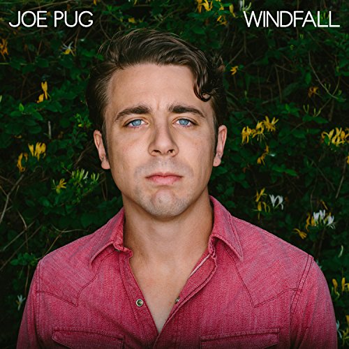 CD Shop - JOE PUG WINDFALL