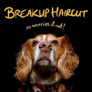 CD Shop - BREAKUP HAIRCUT NO WORRIES IF NOT