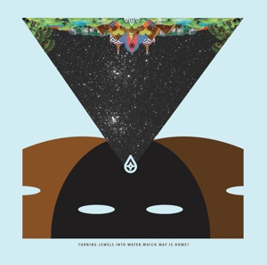 CD Shop - TURNING JEWELS INTO WATER WHICH WAY IS HOME