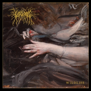CD Shop - LASCAR WILDLIFE -LTD-