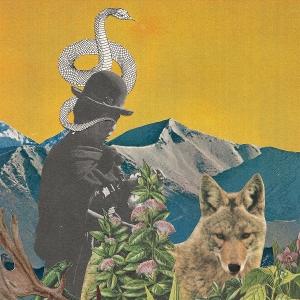CD Shop - LESLIE GRAVES & TOBY GOODSHANK BETWEEN WORLDS