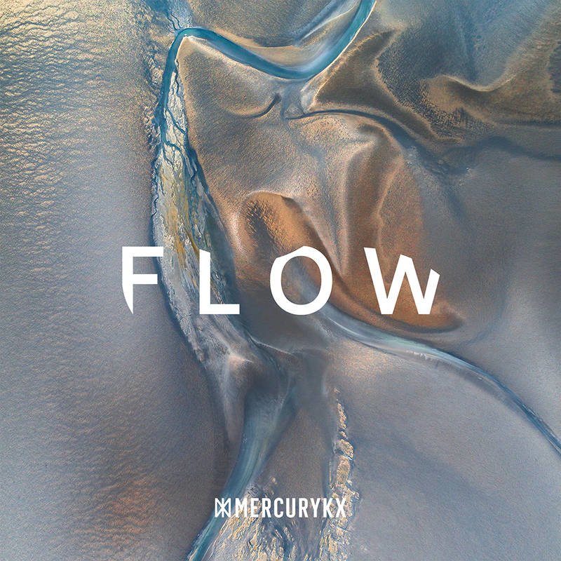 CD Shop - VARIOUS ARTISTS FLOW