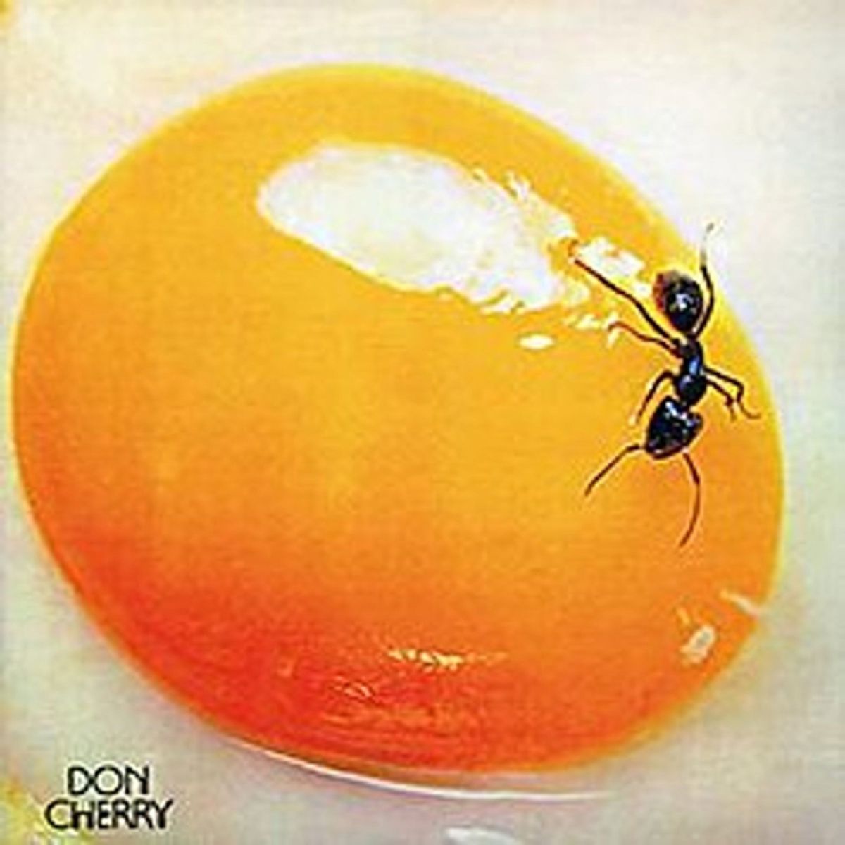 CD Shop - DON CHERRY ORIENT