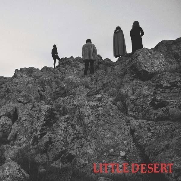 CD Shop - LITTLE DESERT 7-ASHES