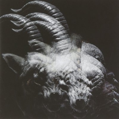 CD Shop - GAZETTE BEAUTIFUL DEFORMITY