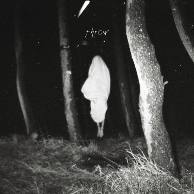 CD Shop - FLOOD OF RED THROW -SPEC-