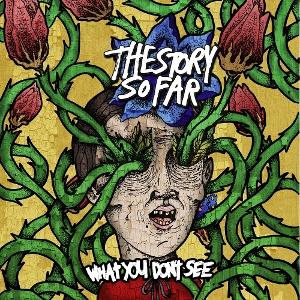 CD Shop - STORY SO FAR, THE WHAT YOU DON\