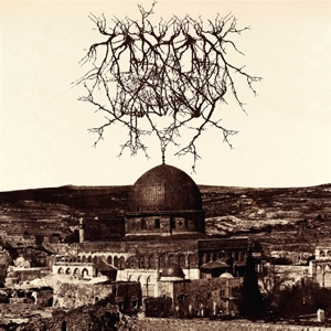 CD Shop - ENTROPY CREATED CONSCIOUSNESS IMPRESSIONS OF.. -LTD-