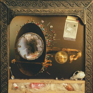 CD Shop - WISHY NATURE\