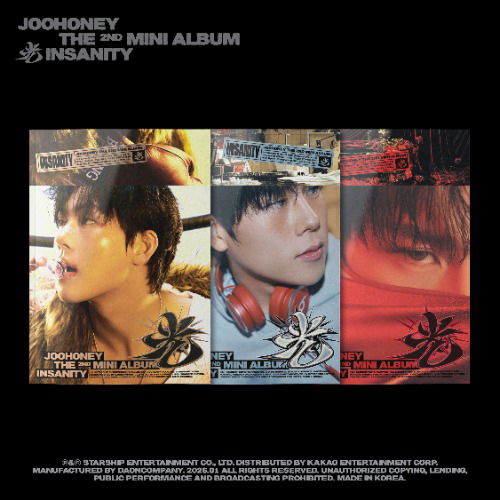 CD Shop - JOOHONEY INSANITY