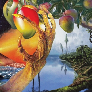 CD Shop - TIMELASH A MORPHOLOGY OF WONDERS