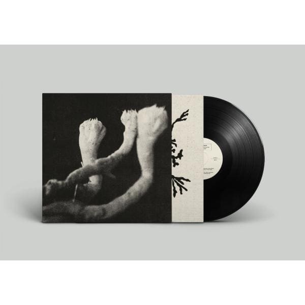 CD Shop - SOPHIE AGNEL LEARNING