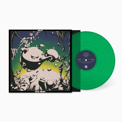CD Shop - MELTS FIELD THEORY