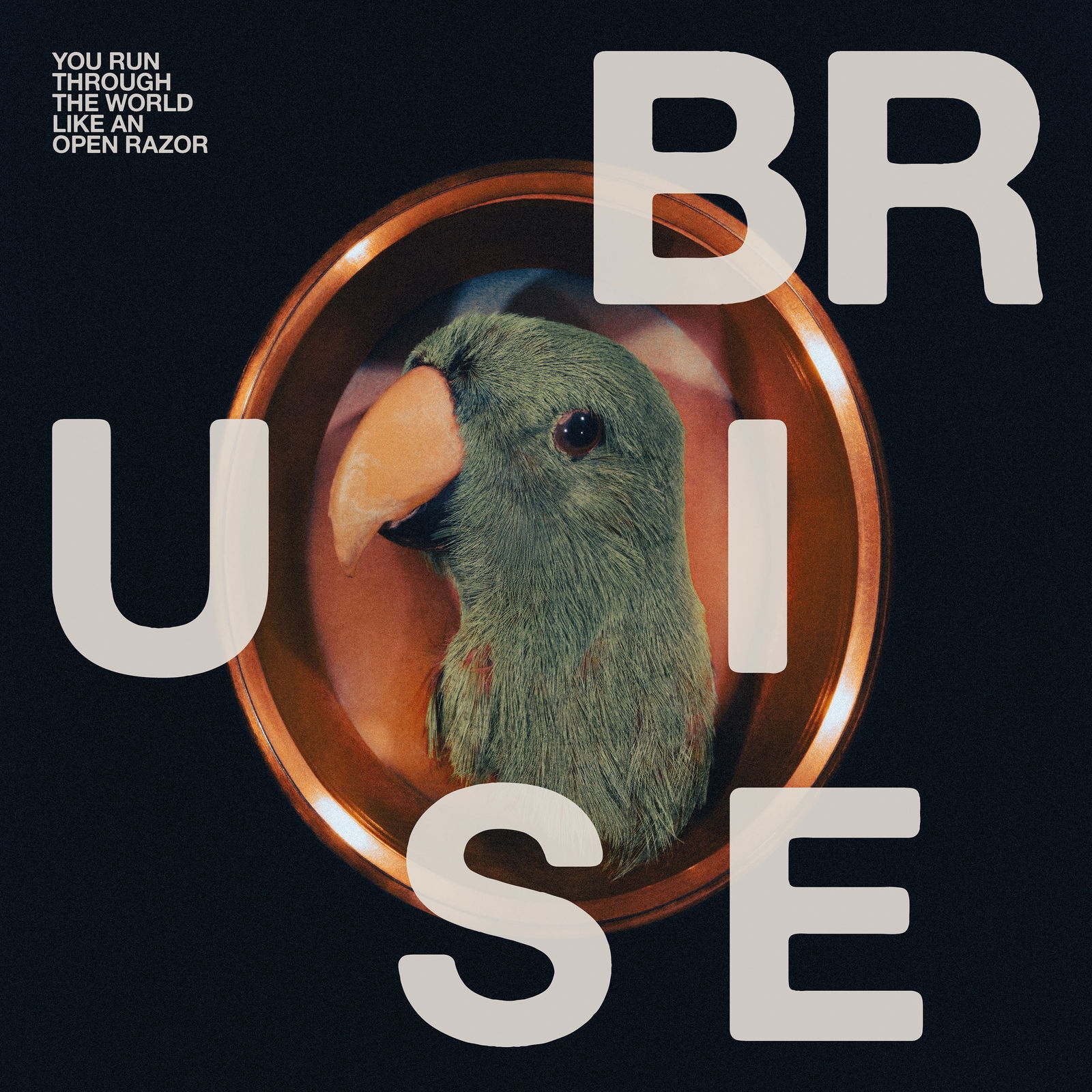 CD Shop - BRUISE BLOOD YOU RUN THROUGH THE WO...