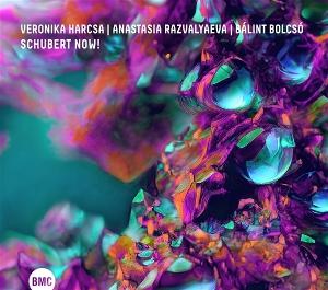 CD Shop - VERONIKA HARCSA,ANASTASIA RAZVALYAEVA,BALINT BOLCSO SCHUBERT NOW!