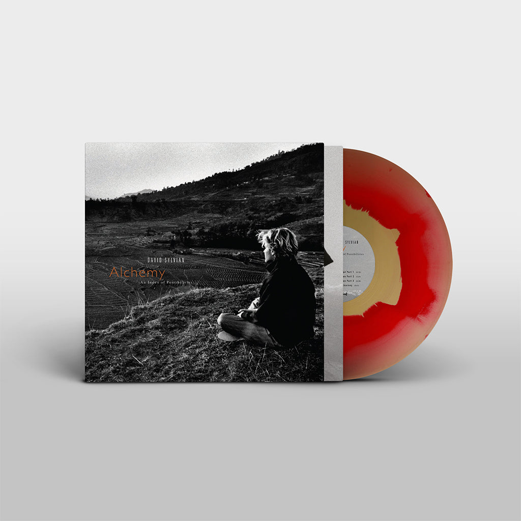 CD Shop - DAVID SYLVIAN ALCHEMY AN INDEX OF PO...
