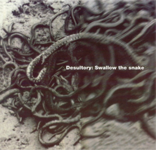 CD Shop - DESULTORY SWALLOW THE SNAKE