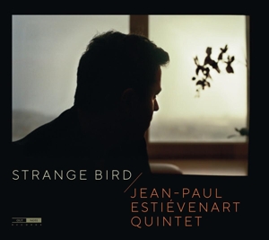 CD Shop - JEAN-PAUL ESTIéVENART STRANGE BIRD