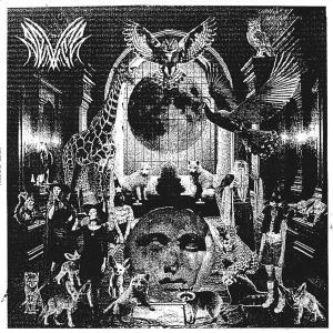 CD Shop - NEVER GRAY