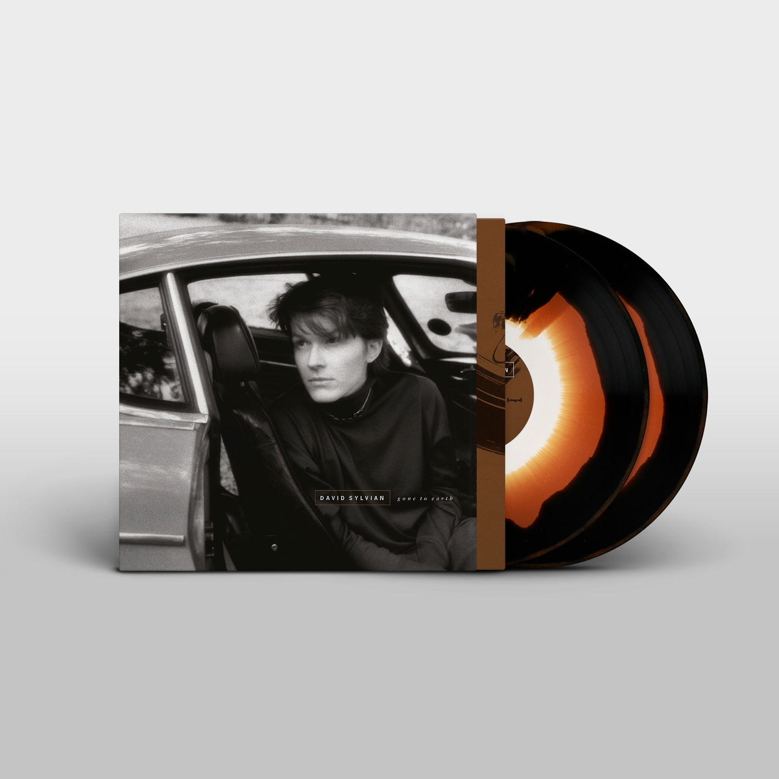 CD Shop - DAVID SYLVIAN GONE TO EARTH